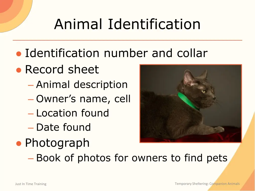 animal identification