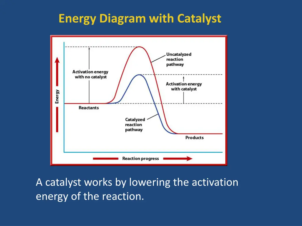 energy diagram with catalyst