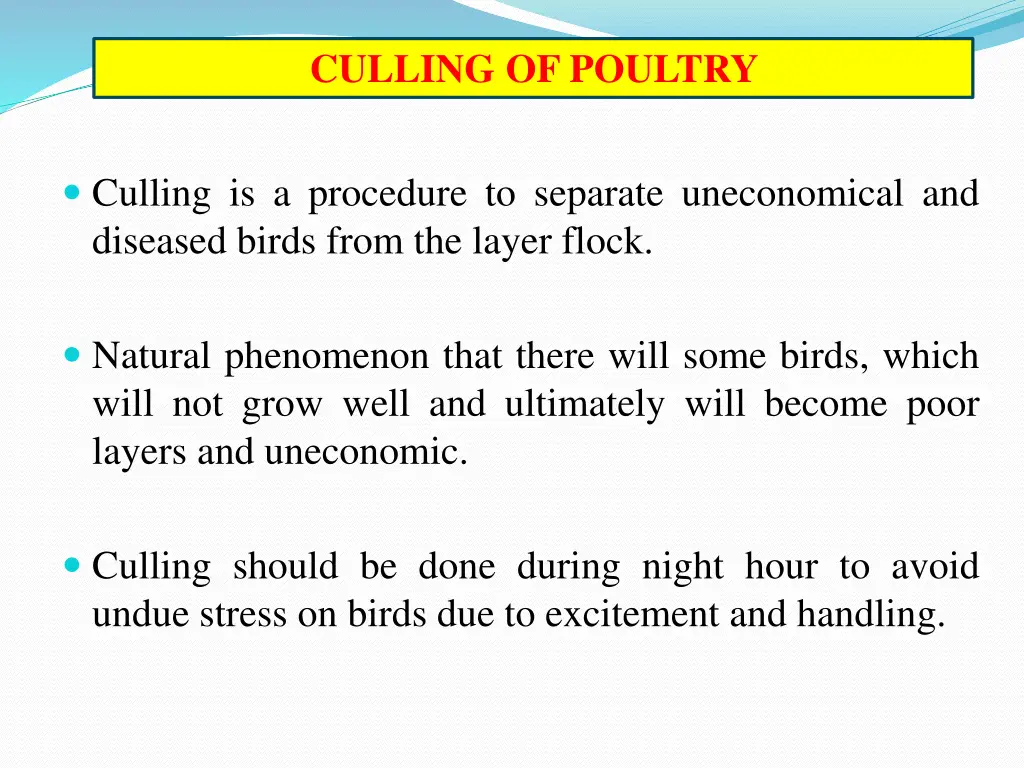 culling of poultry