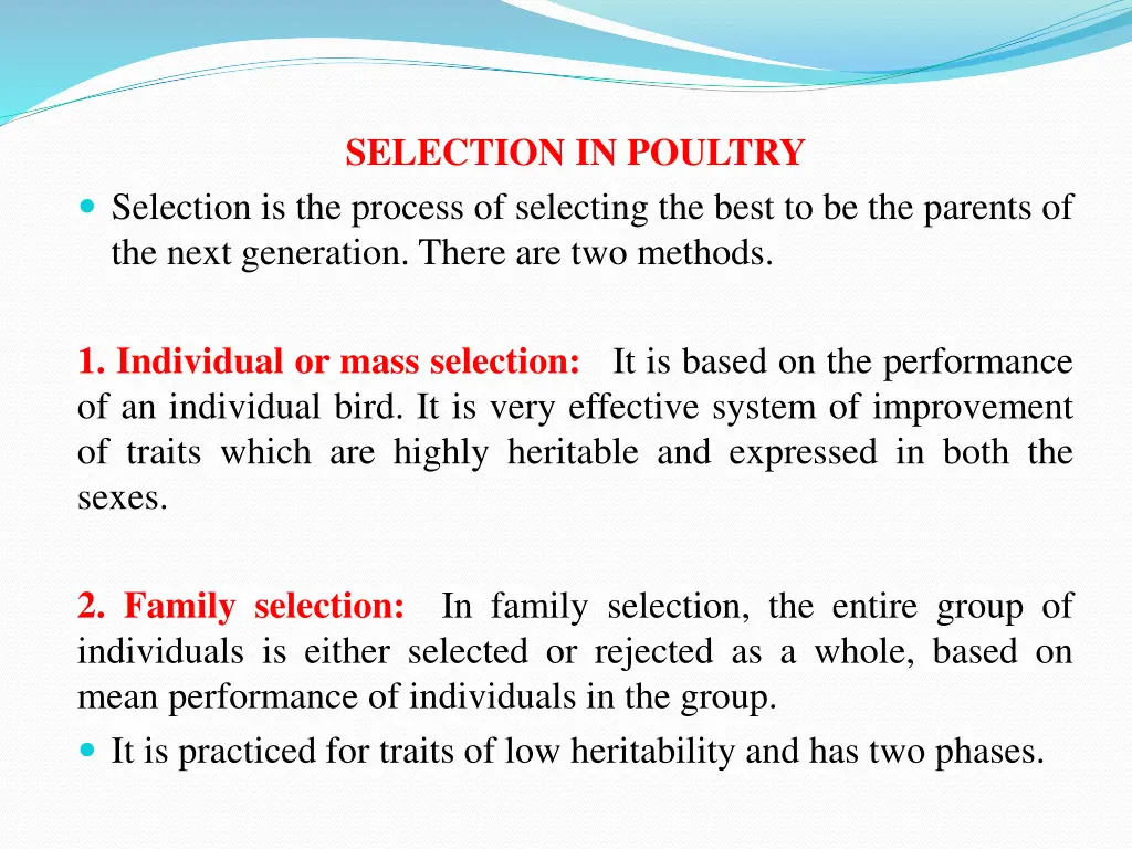 selection in poultry