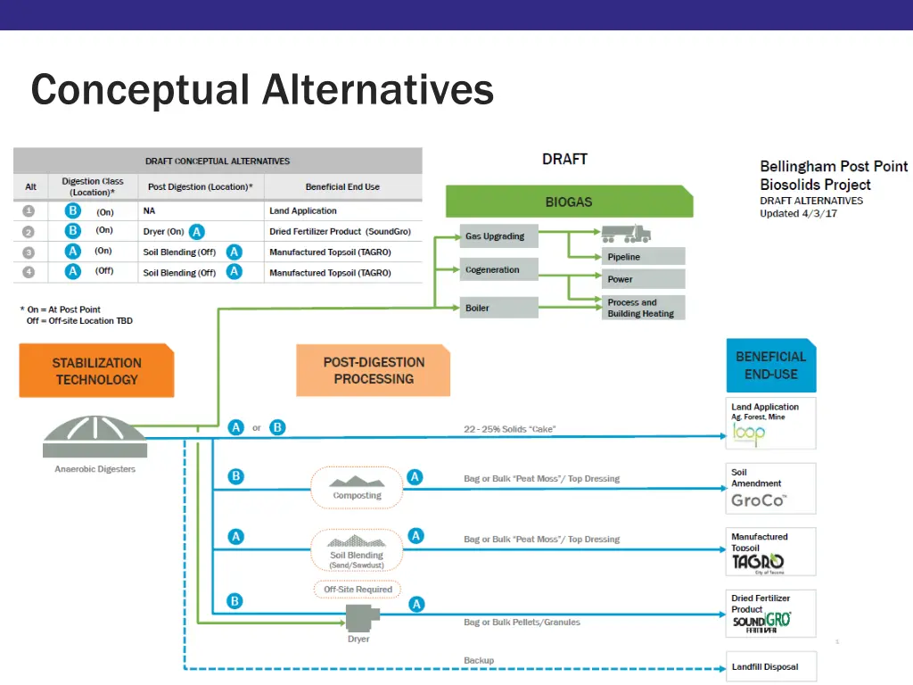 conceptual alternatives