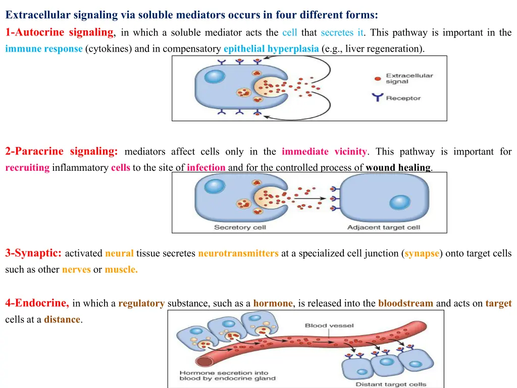 extracellular signaling via soluble mediators