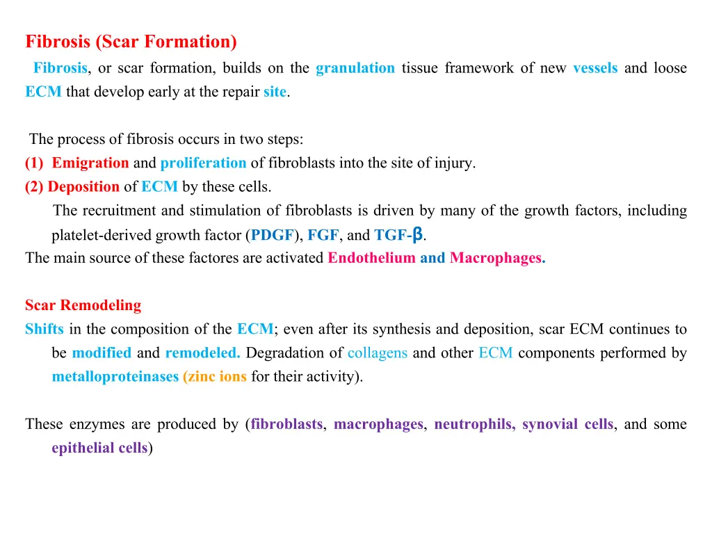 fibrosis scar formation fibrosis or scar