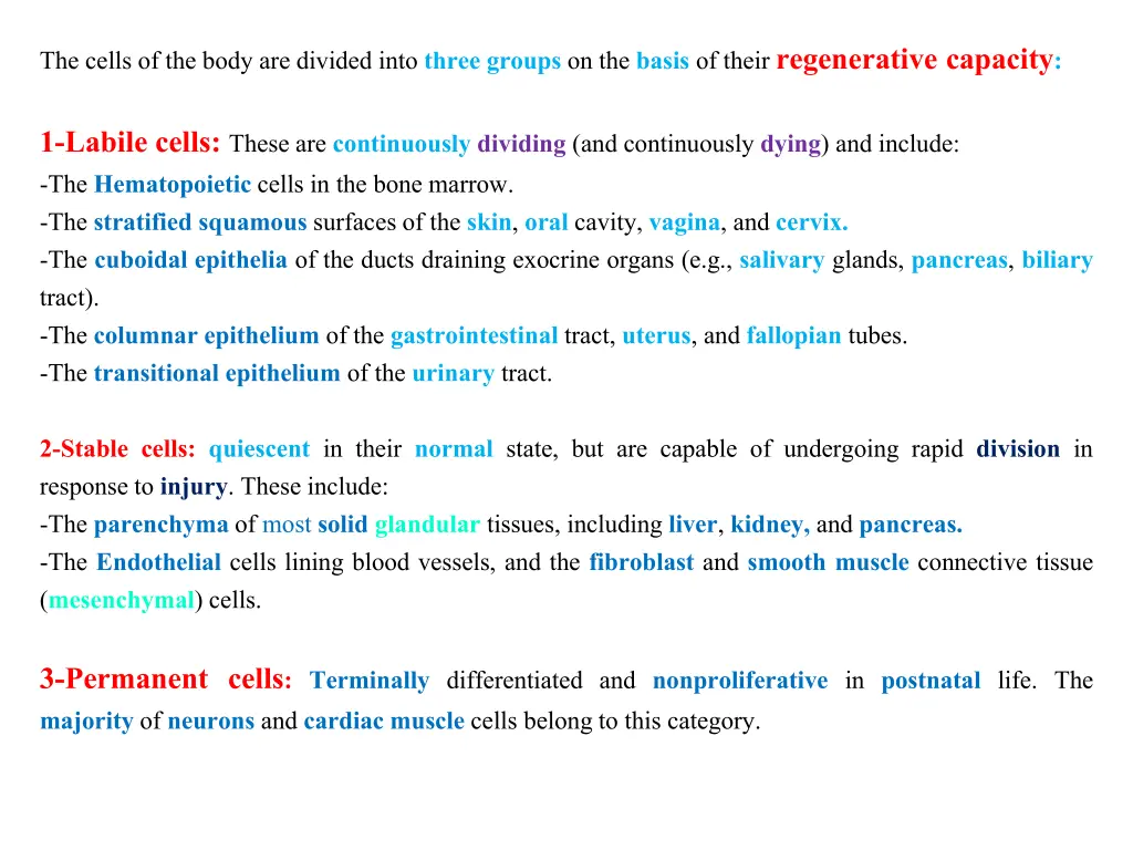 the cells of the body are divided into three