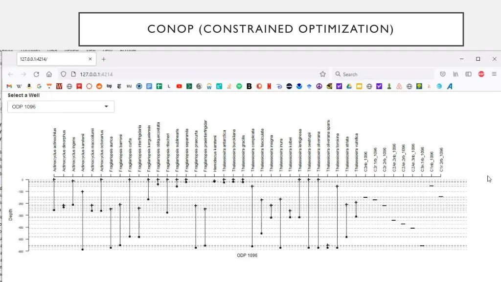 conop constrained optimization