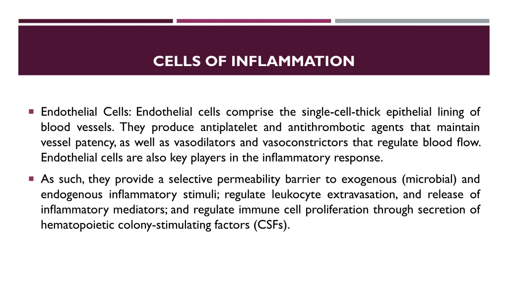 cells of inflammation 1