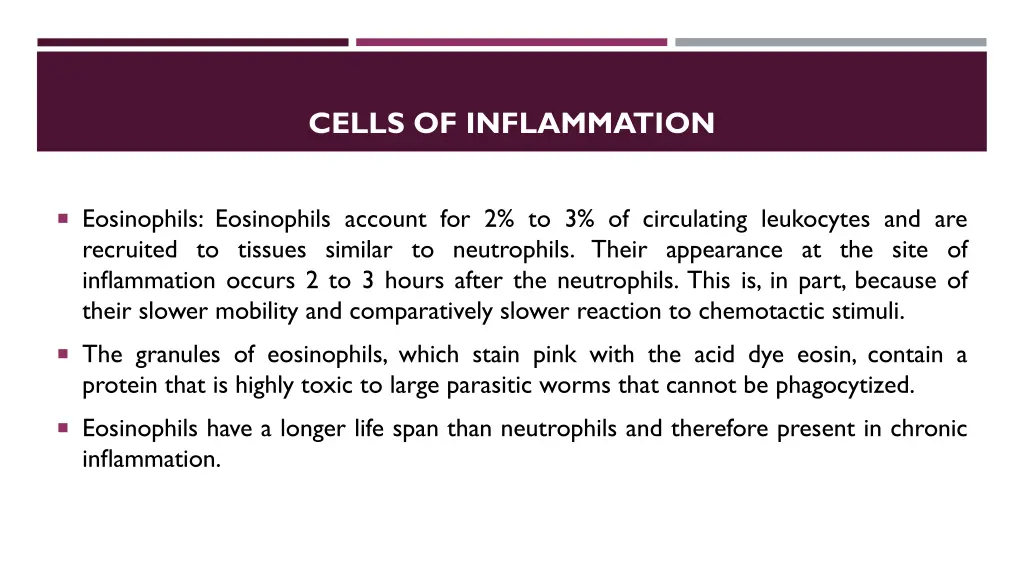 cells of inflammation 4