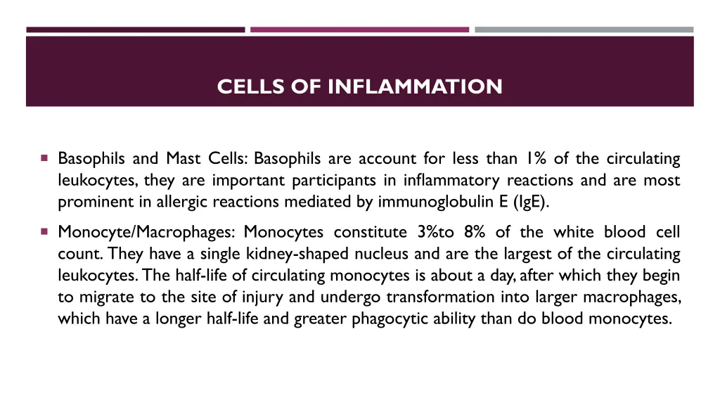 cells of inflammation 5