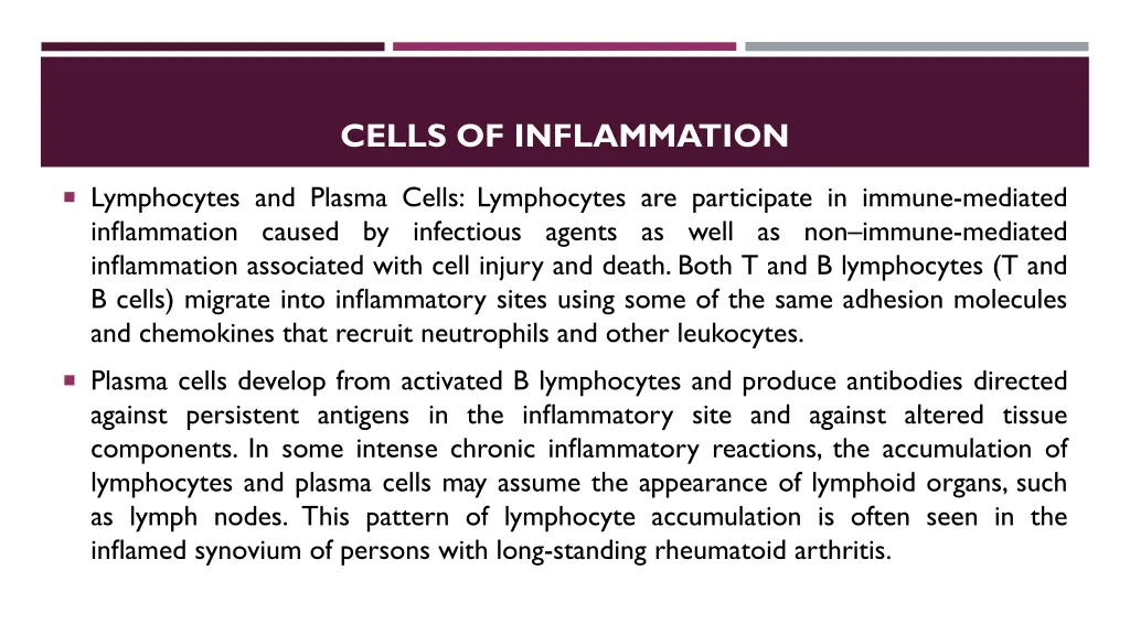 cells of inflammation 6