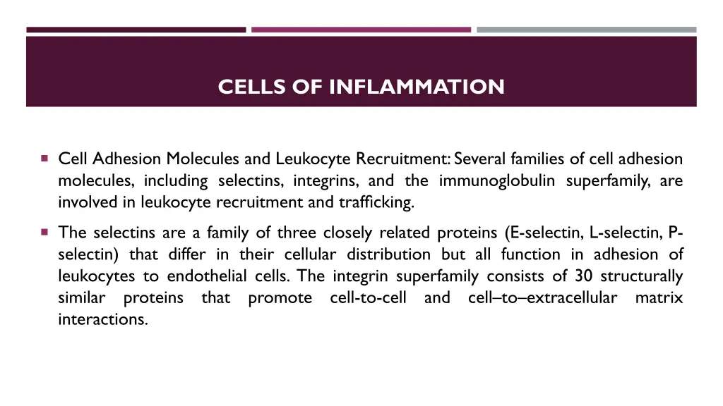 cells of inflammation 7