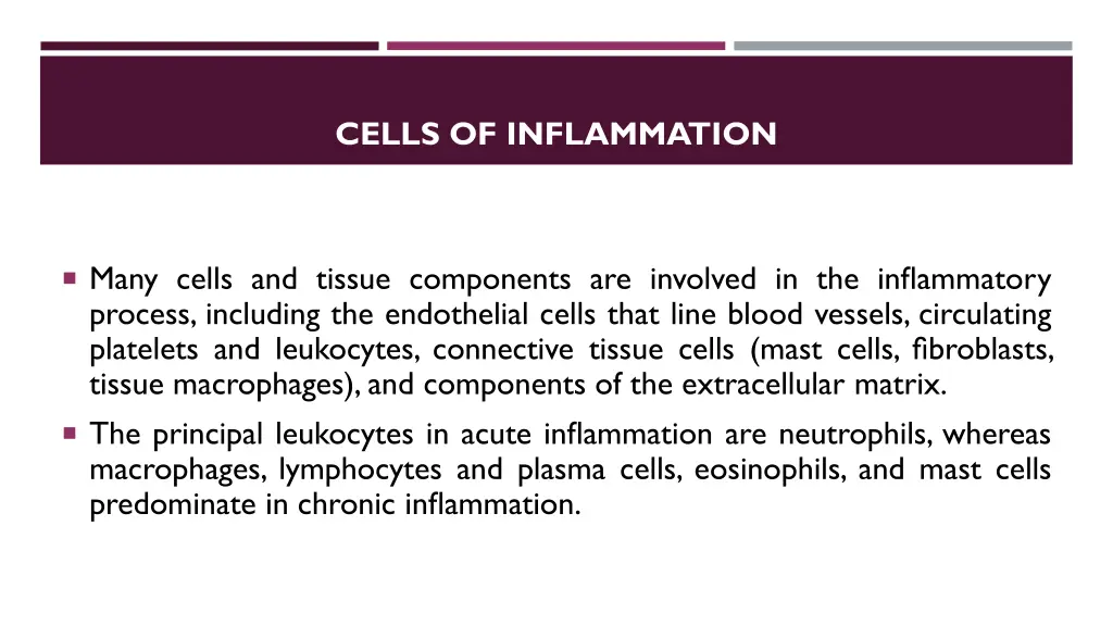 cells of inflammation