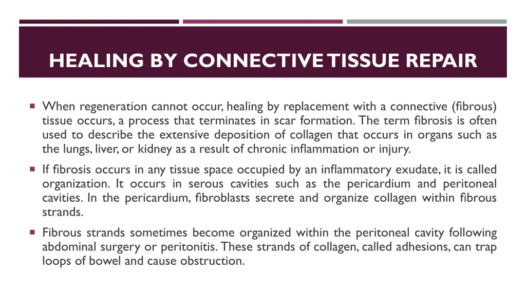 healing by connective tissue repair