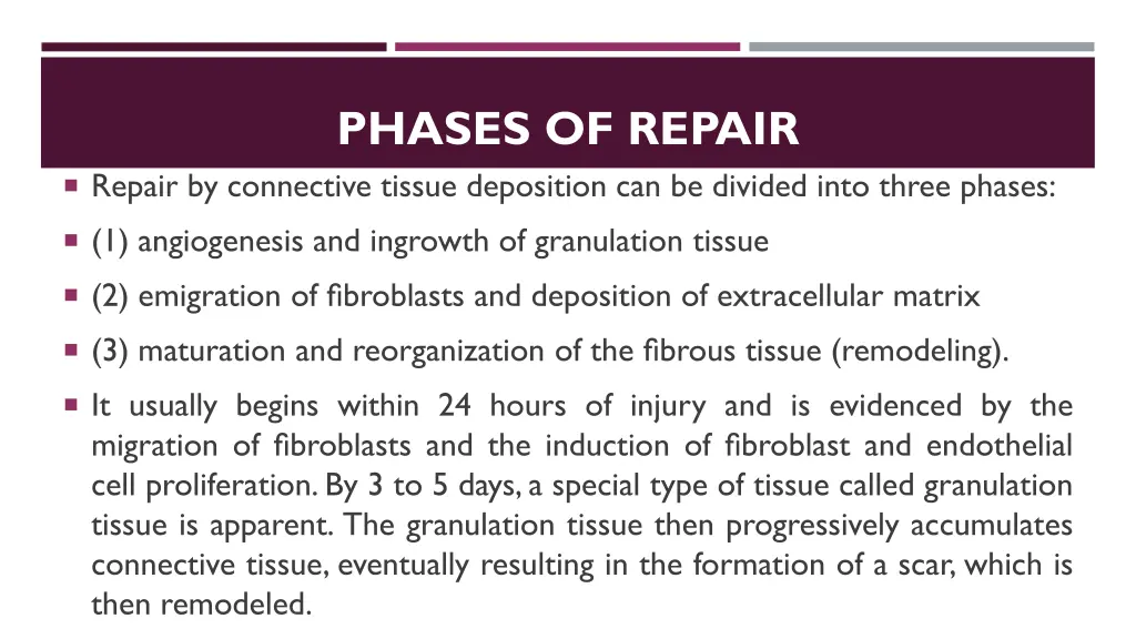 phases of repair