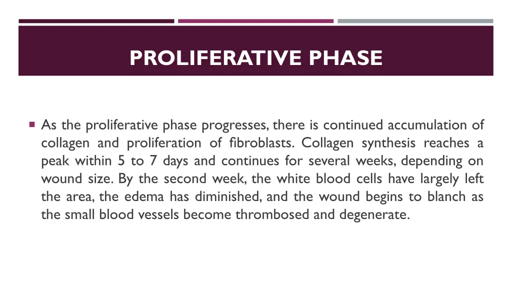 proliferative phase 3