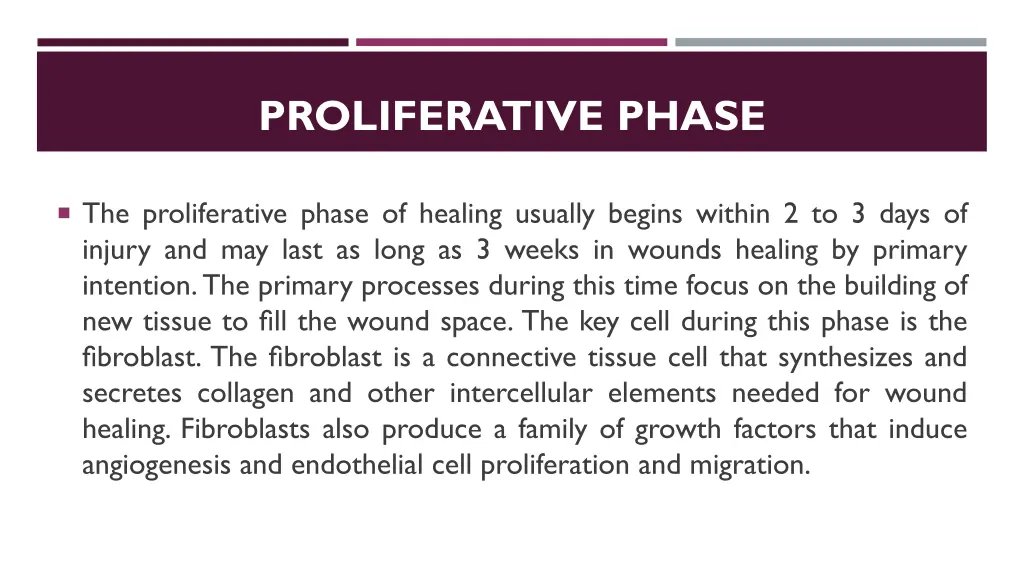 proliferative phase