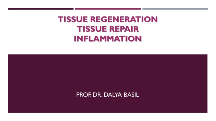 tissue regeneration tissue repair inflammation