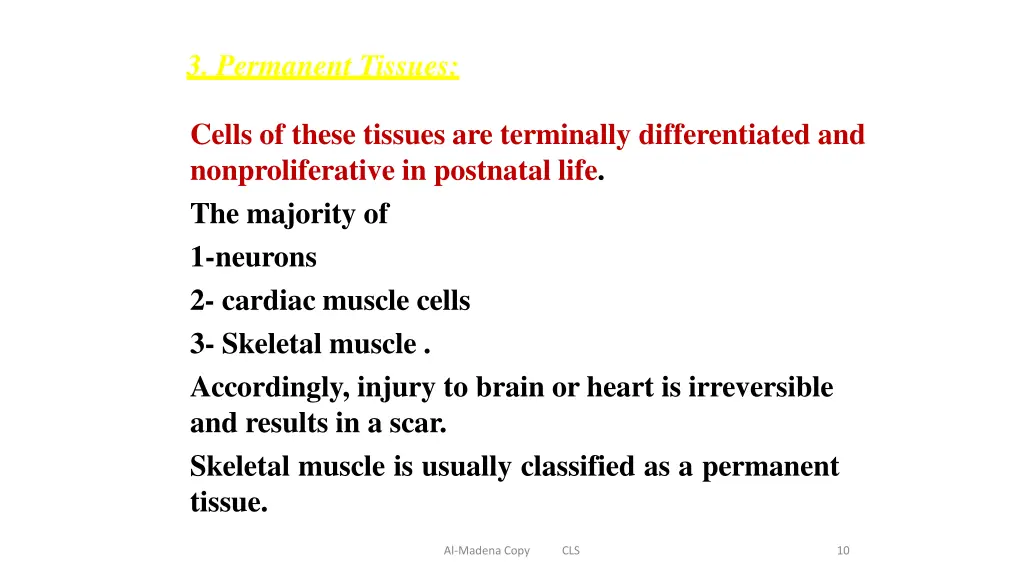 3 permanent tissues