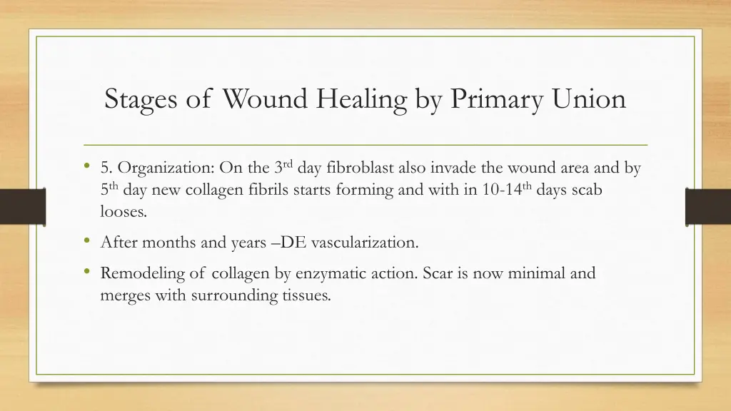 stages of wound healing by primary union 1