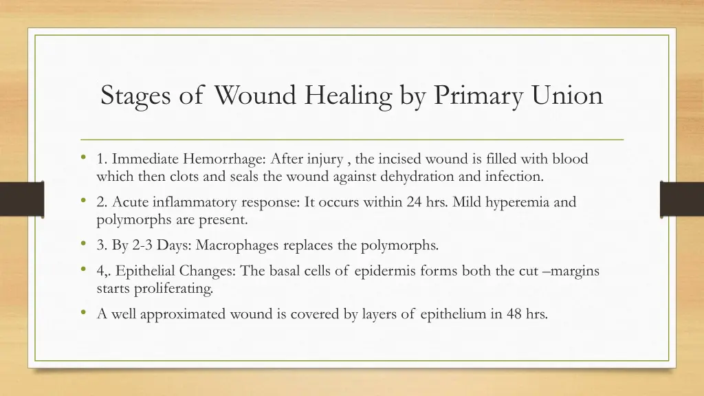 stages of wound healing by primary union