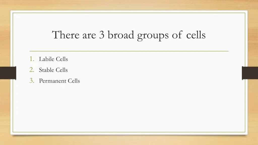 there are 3 broad groups of cells