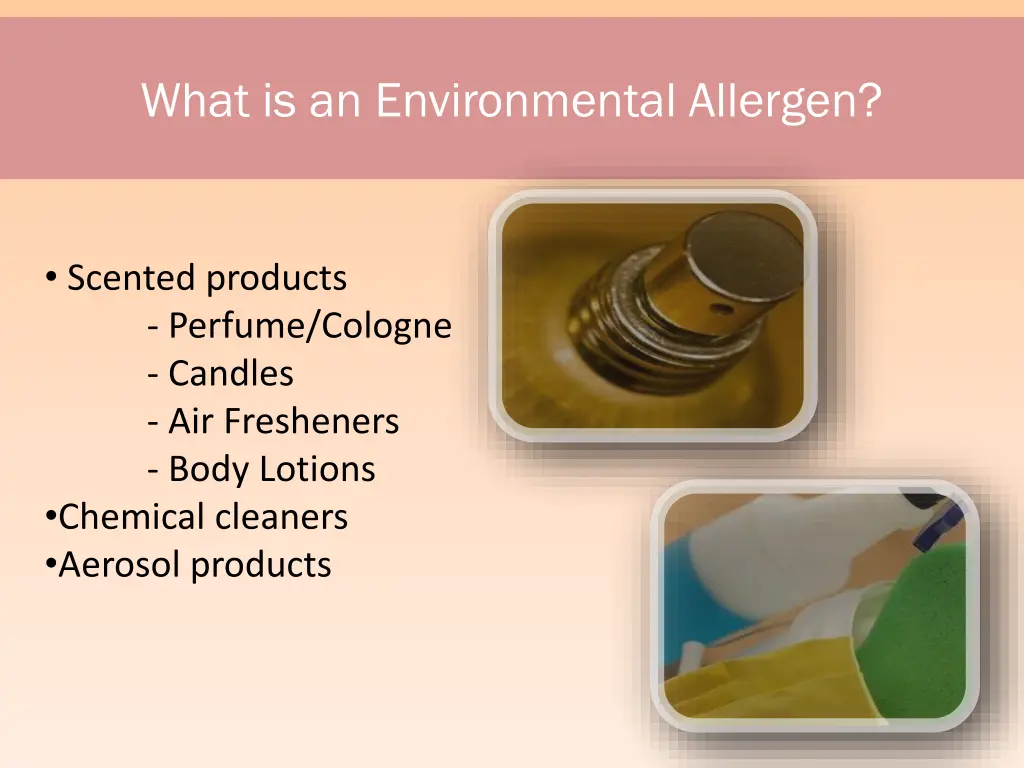 what is an environmental allergen