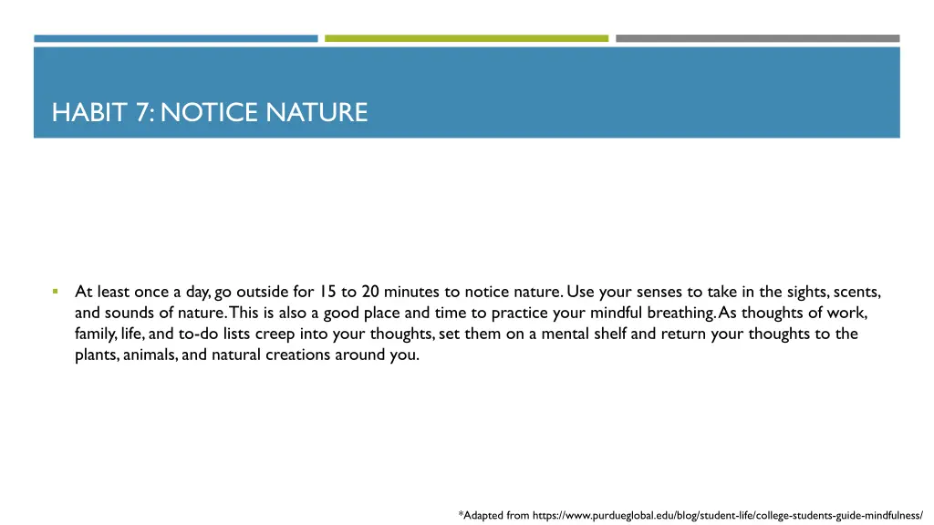 habit 7 notice nature