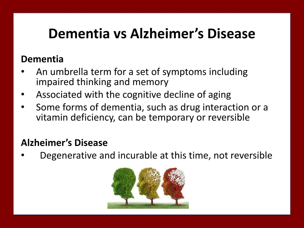 dementia vs alzheimer s disease