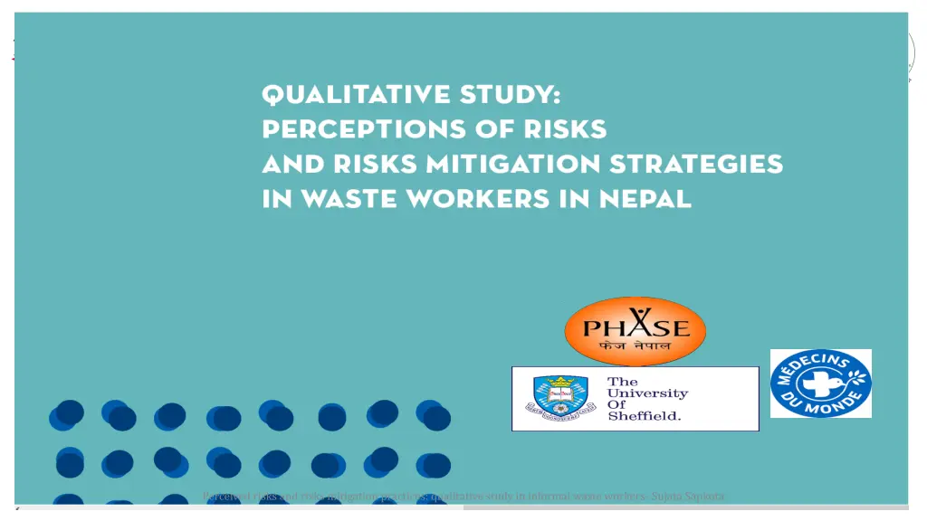 perceived risks and risks mitigation practices