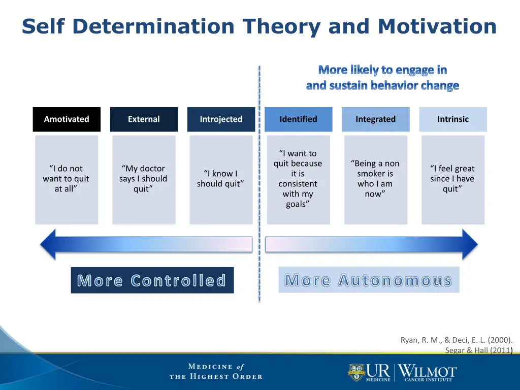 self determination theory and motivation