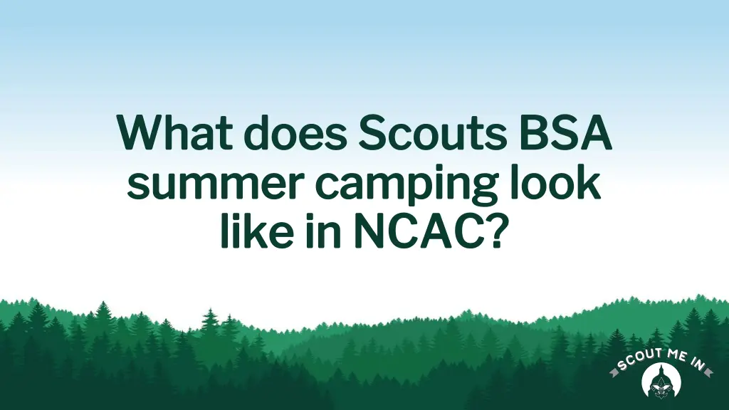 what does scouts bsa what does scouts bsa summer