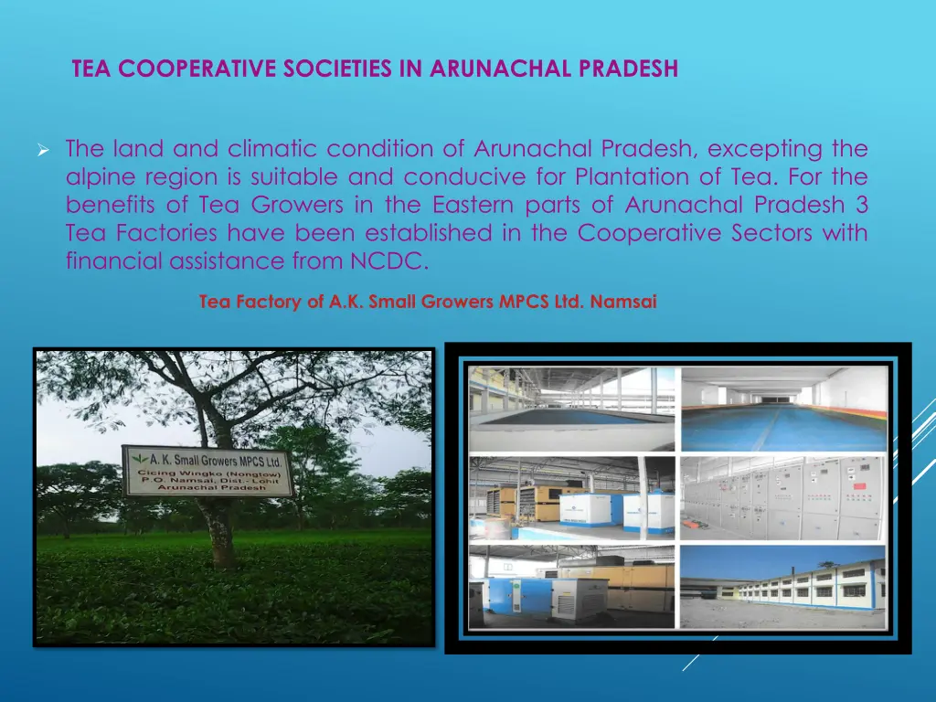 tea cooperative societies in arunachal pradesh