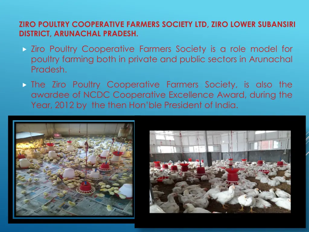 ziro poultry cooperative farmers society ltd ziro