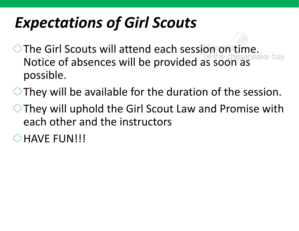 expectations of girl scouts