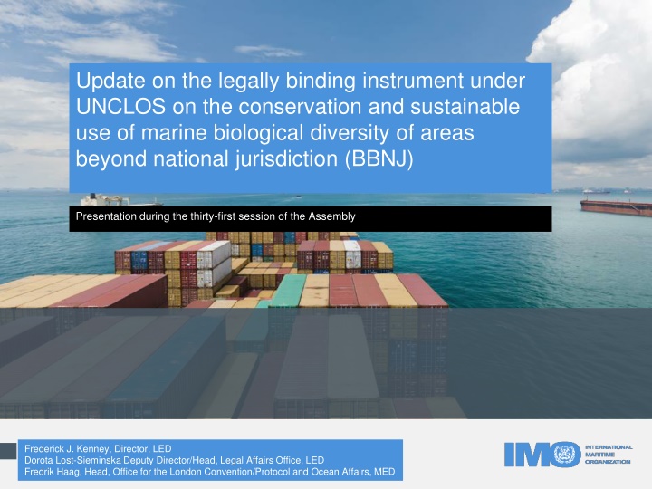 update on the legally binding instrument under