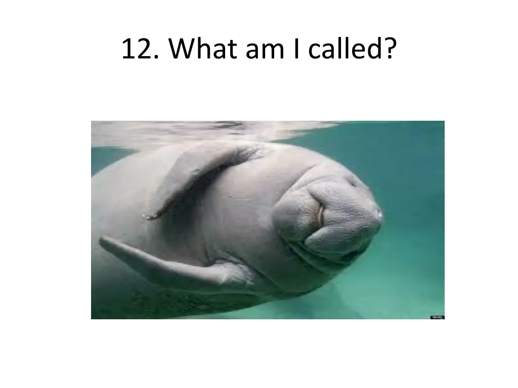 12 what am i called