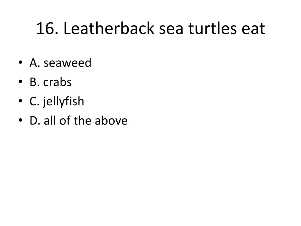 16 leatherback sea turtles eat