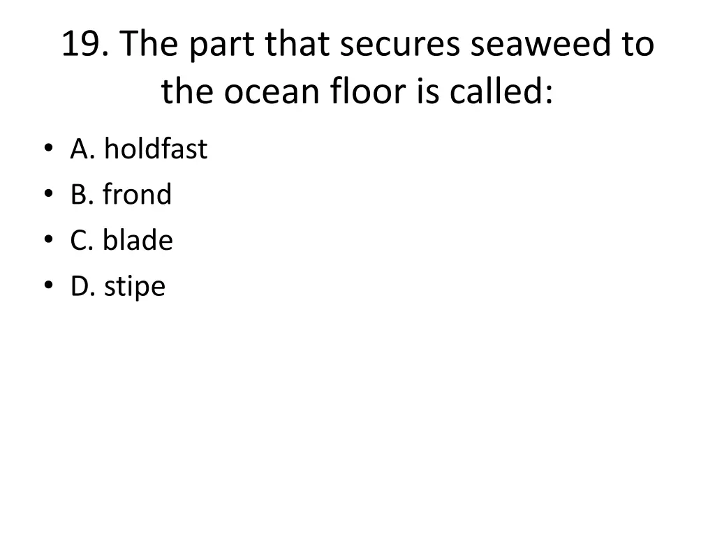 19 the part that secures seaweed to the ocean