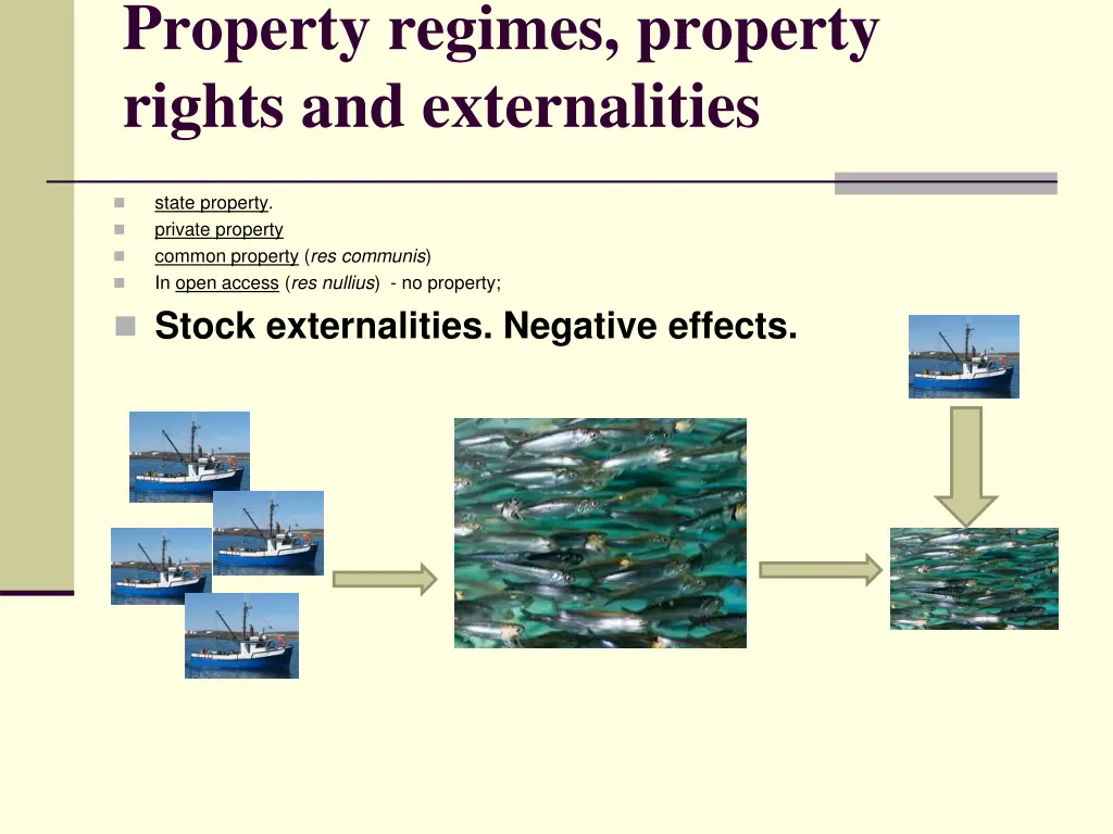 property regimes property rights and externalities