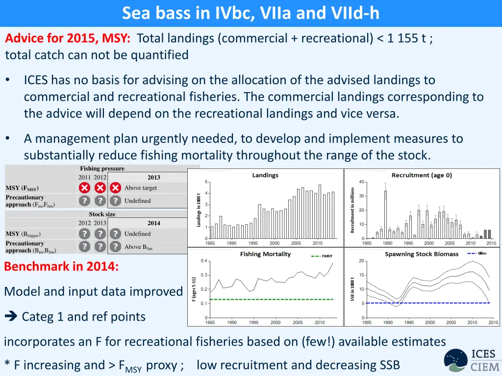 sea bass in ivbc viia and viid h