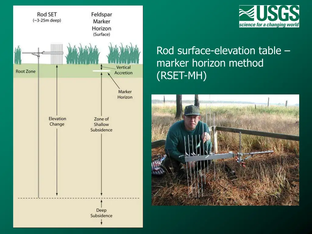 rod surface elevation table marker horizon method