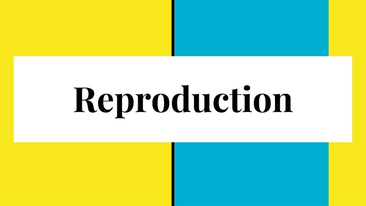 reproduction