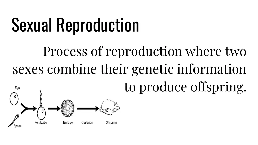 sexual reproduction process of reproduction where