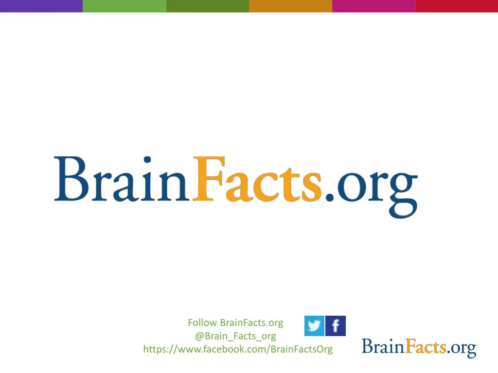 follow brainfacts org @brain facts org https