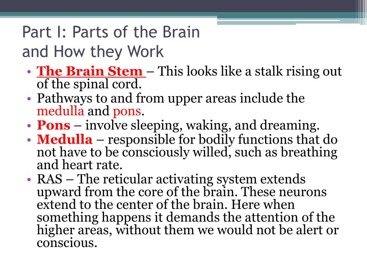 part i parts of the brain and how they work