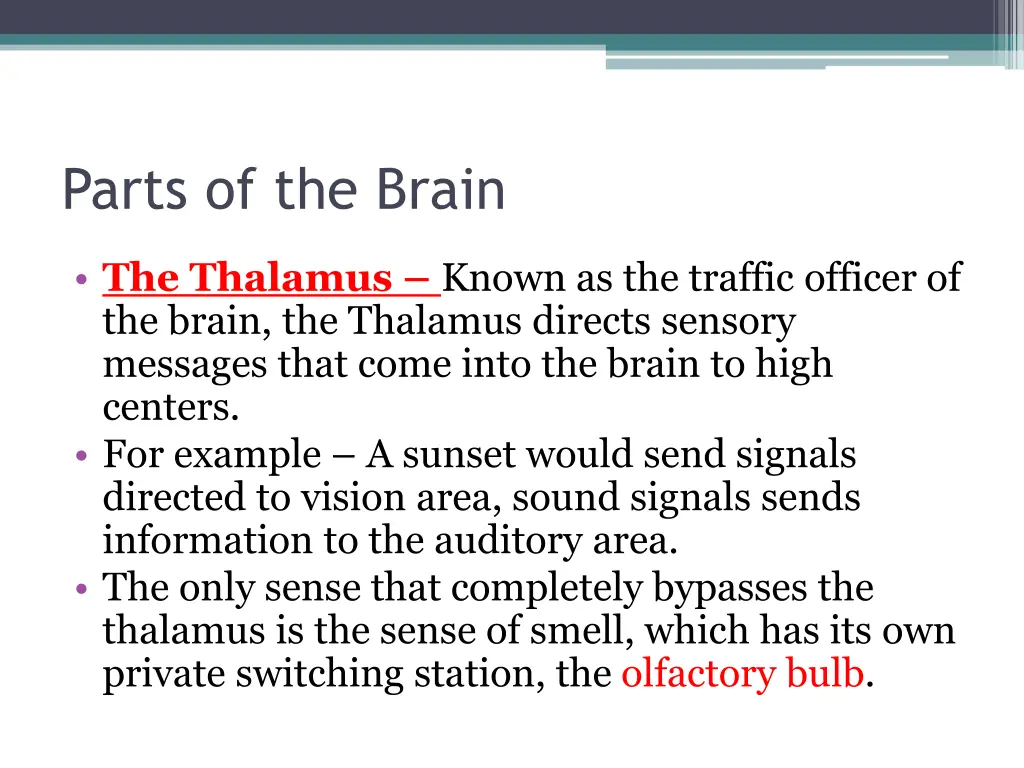 parts of the brain 1