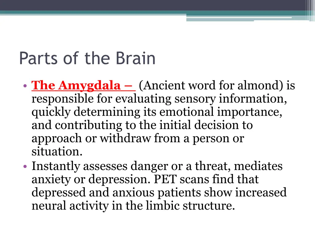 parts of the brain 2