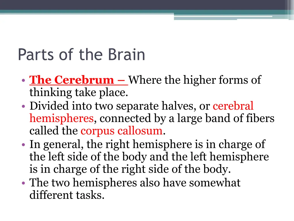 parts of the brain 4