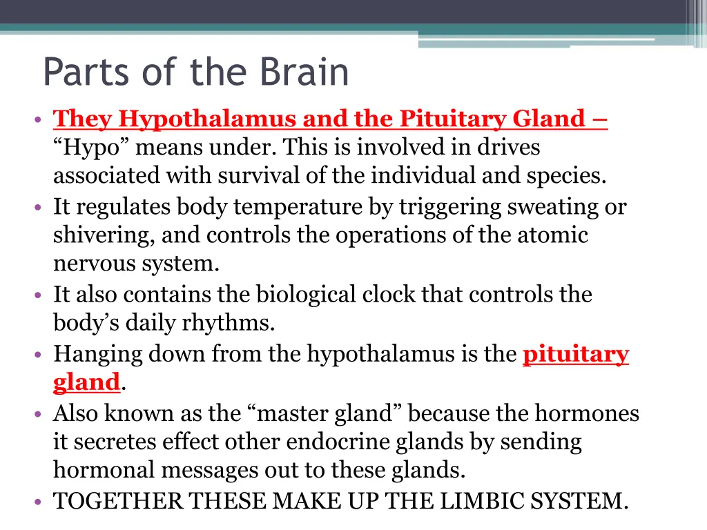 parts of the brain they hypothalamus