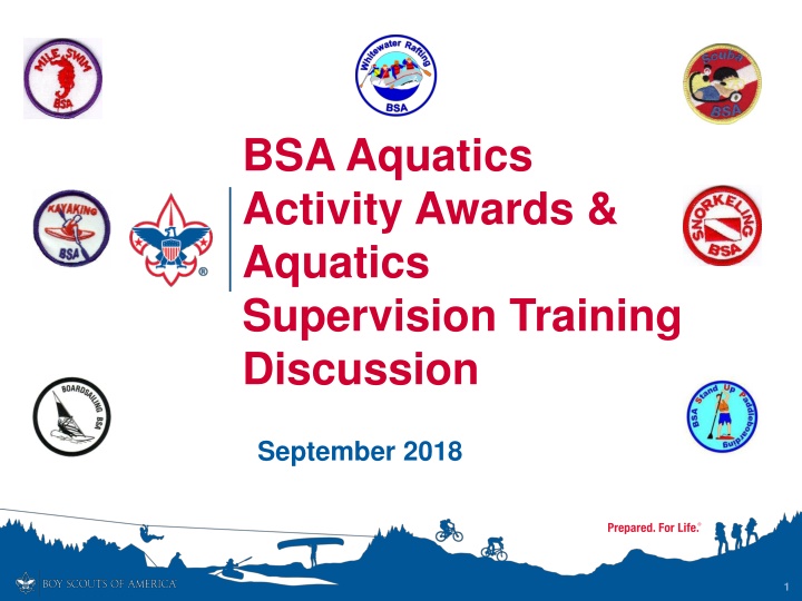 bsa aquatics activity awards aquatics supervision