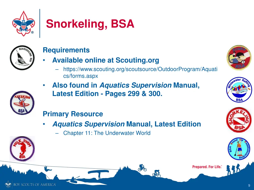 snorkeling bsa 2